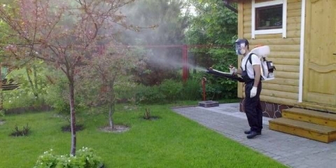 Tretiranje voćaka bakar-sulfatom u proleće